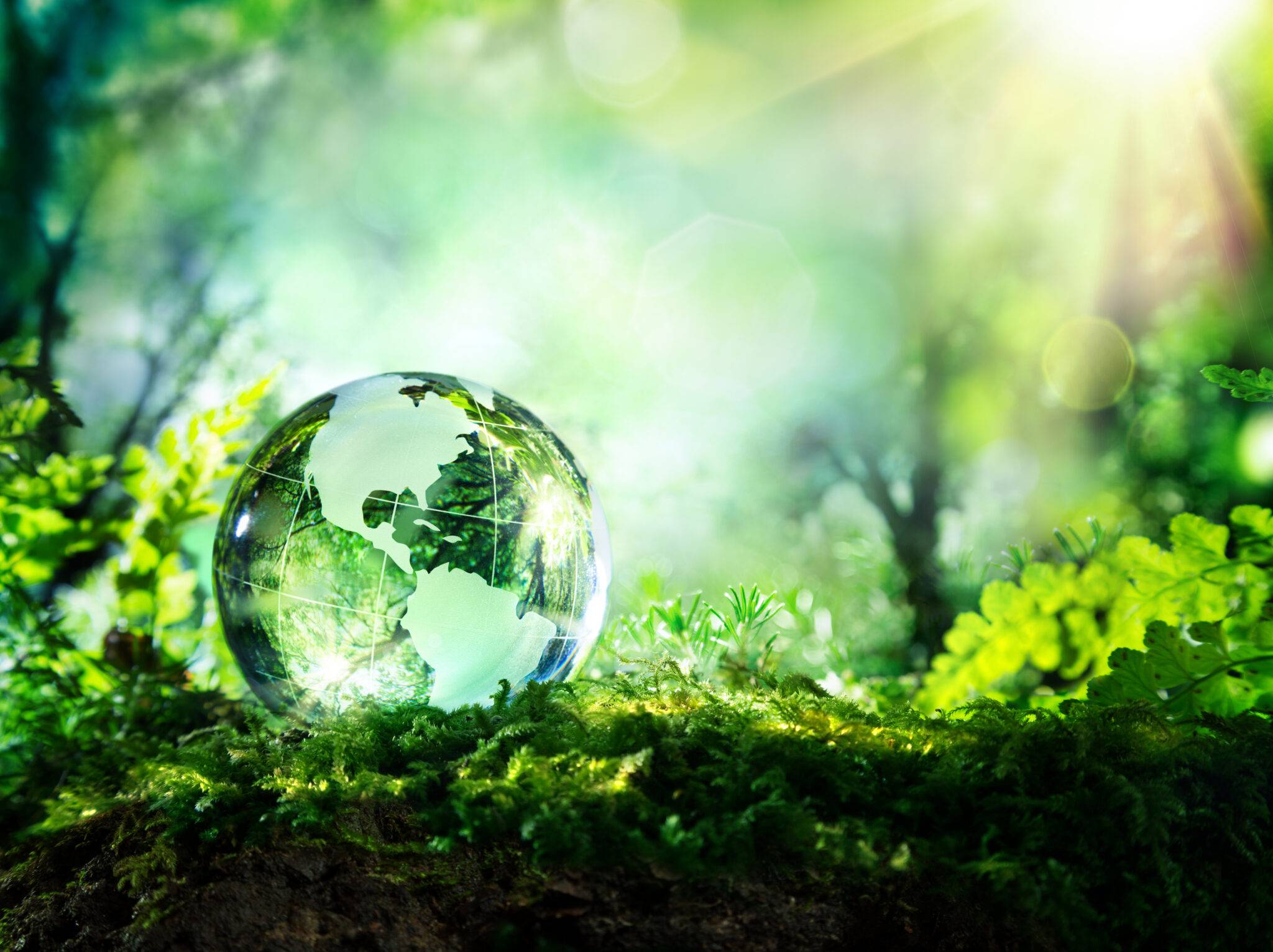 Envirotainer releases annual sustainability narrative