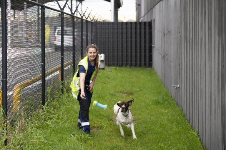 dnata ensures gentle and safe journeys for animal passengers in Brussels – Air Cargo Week